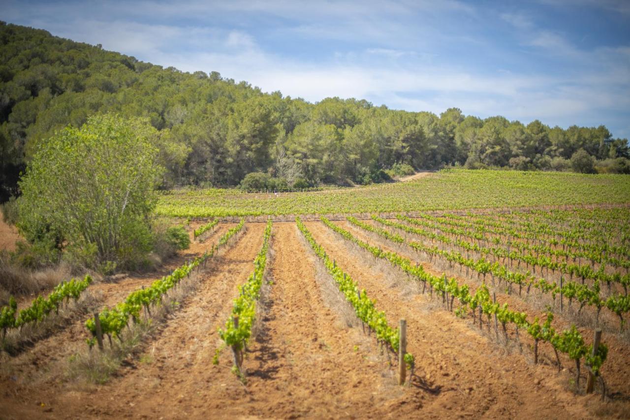 Catalunya Casas Tranquil Nature "Feel" , Yet Only 4 Min To Beach! Calafell Ngoại thất bức ảnh